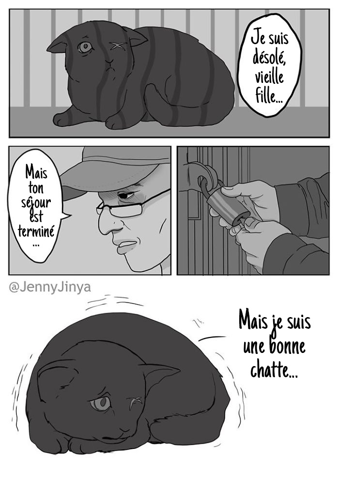 L Artiste Qui A Fait Pleurer Les Gens Avec Sa Bande Dessinee Sur Un Chat Noir Vient De Publier La Suite Ipnoze