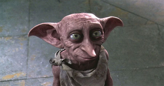 Tout le monde veut adopter ce chat très spécial qui ressemble à bébé Yoda et à Dobby l’elfe