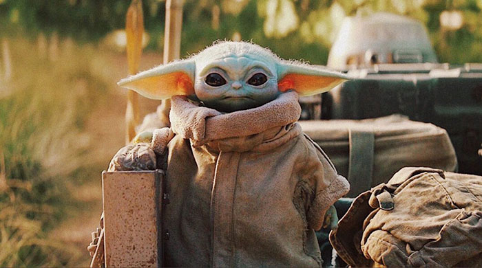 Tout le monde veut adopter ce chat très spécial qui ressemble à bébé Yoda et à Dobby l’elfe