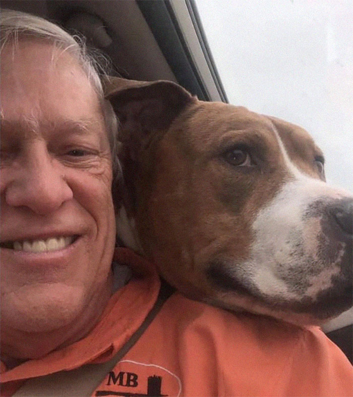 Ce pitbull volé retrouvé à 3 200 kilomètres est rentré chez lui pour Noël avec l’aide de 15 bénévoles