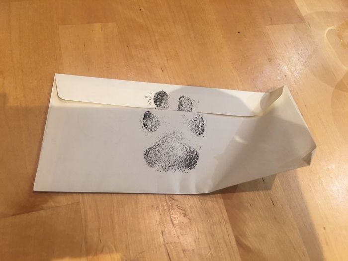 4 gars ont supplié leur voisin de les laisser jouer avec son chien, et ils ont reçu une lettre sympa en réponse