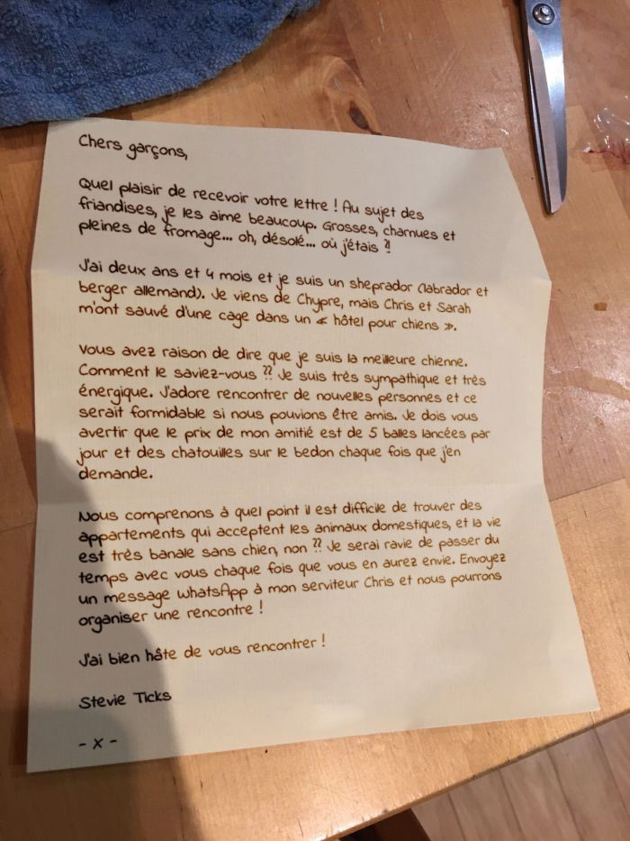 4 gars ont supplié leur voisin de les laisser jouer avec son chien, et ils ont reçu une lettre sympa en réponse