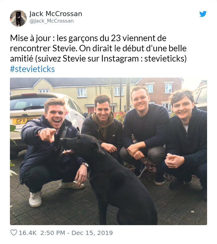 4 gars ont supplié leur voisin de les laisser jouer avec son chien, et ils ont reçu une lettre sympa en réponse