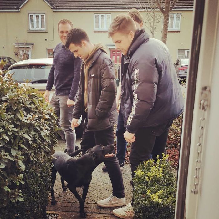 4 gars ont supplié leur voisin de les laisser jouer avec son chien, et ils ont reçu une lettre sympa en réponse