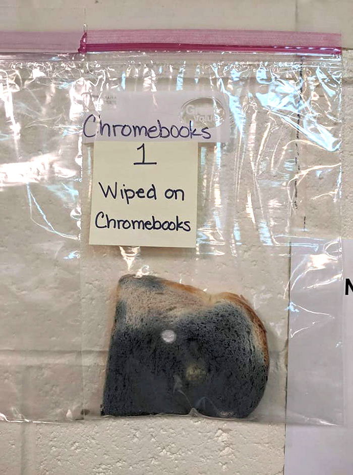 Cette expérience scientifique menée par une école primaire avec du pain blanc est devenue virale