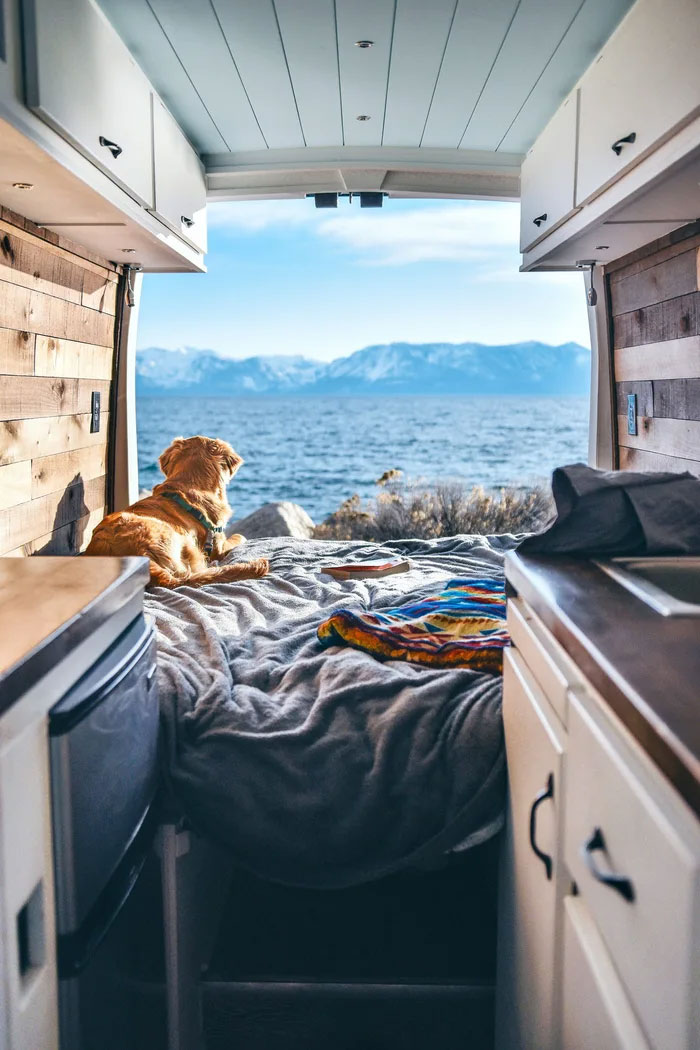 Cette femme de 24 ans a laissé son petit ami, quitté son emploi et vit maintenant dans un van avec son chien