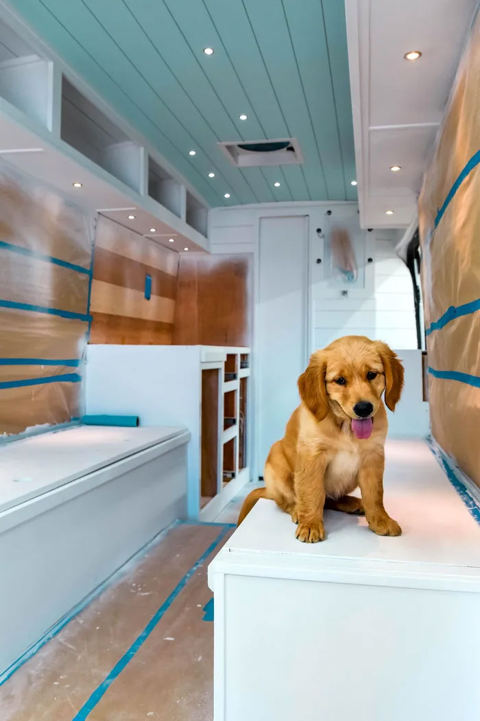 Cette femme de 24 ans a laissé son petit ami, quitté son emploi et vit maintenant dans un van avec son chien