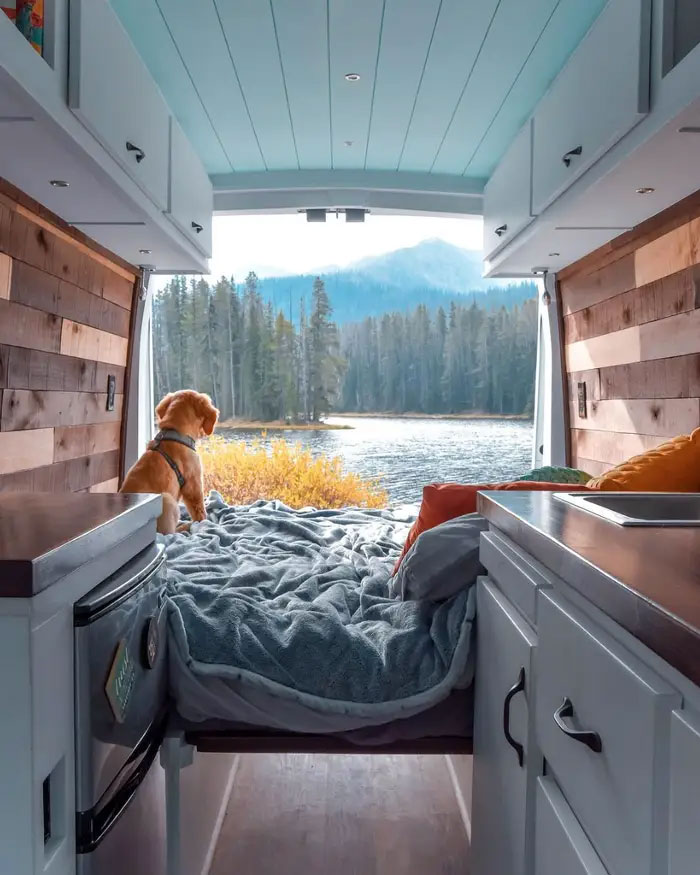 Cette femme de 24 ans a laissé son petit ami, quitté son emploi et vit maintenant dans un van avec son chien