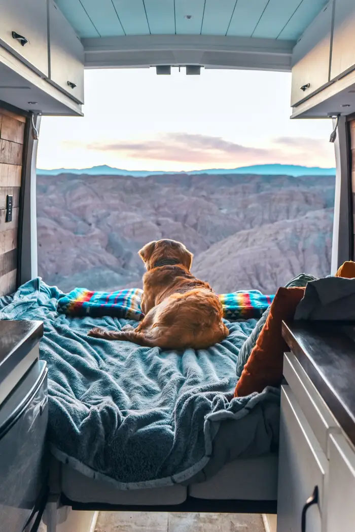 Cette femme de 24 ans a laissé son petit ami, quitté son emploi et vit maintenant dans un van avec son chien