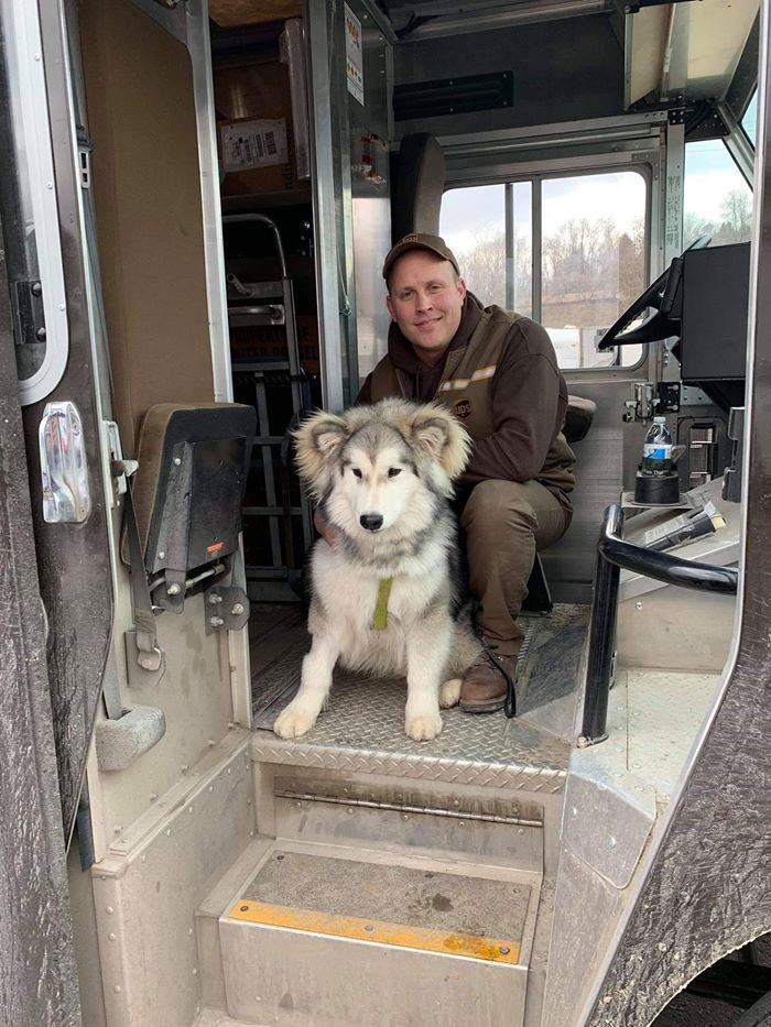 Des livreurs ont créé un groupe Facebook au sujet des chiens qu’ils rencontrent sur leur route et ça va te faire sourire (nouvelles images)