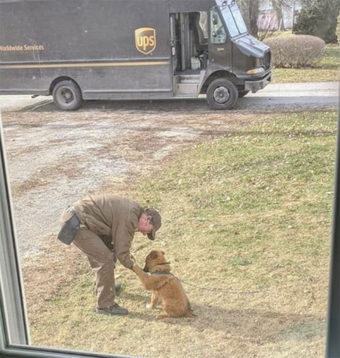 Des livreurs ont créé un groupe Facebook au sujet des chiens qu’ils rencontrent sur leur route et ça va te faire sourire (nouvelles images)