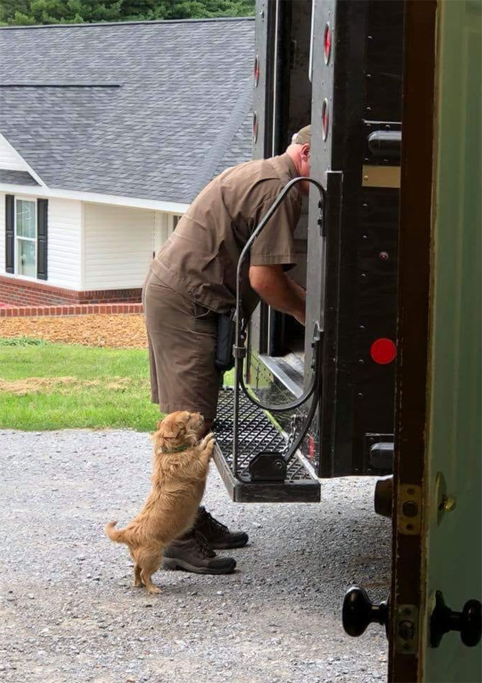 Des livreurs ont créé un groupe Facebook au sujet des chiens qu’ils rencontrent sur leur route et ça va te faire sourire (nouvelles images)