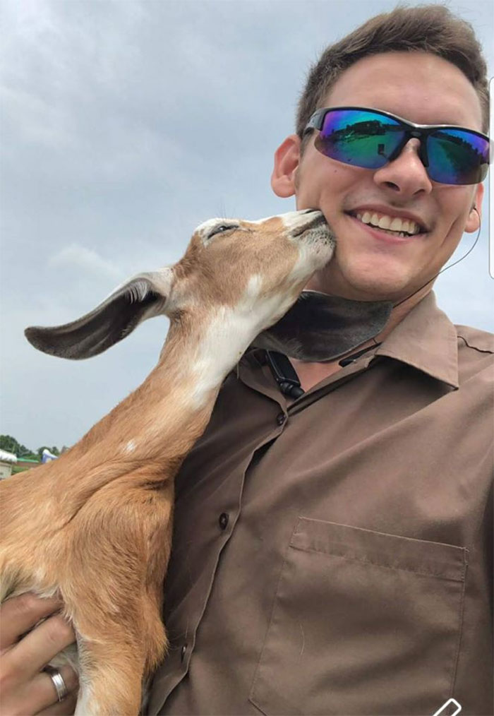 Des livreurs ont créé un groupe Facebook au sujet des chiens qu’ils rencontrent sur leur route et ça va te faire sourire (nouvelles images)