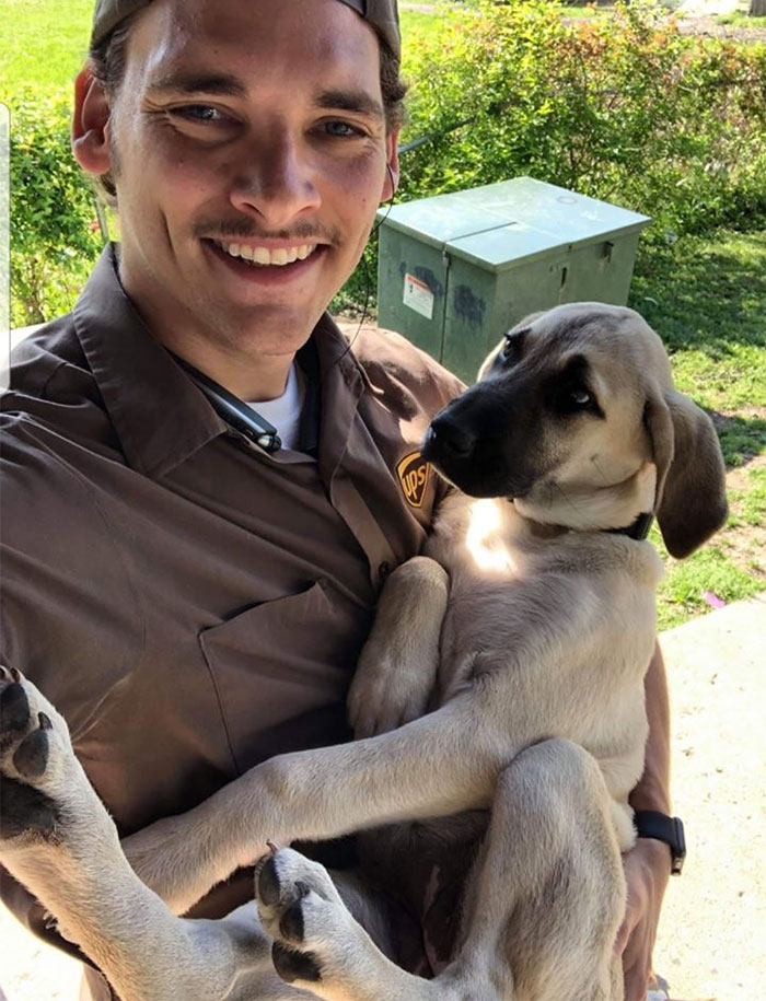 Des livreurs ont créé un groupe Facebook au sujet des chiens qu’ils rencontrent sur leur route et ça va te faire sourire (nouvelles images)