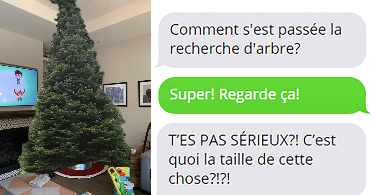 Un père achète un arbre de Noël sans sa femme et décide de la taquiner avec des images hilarantes