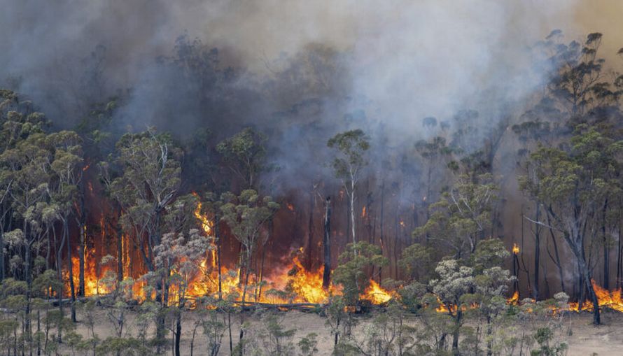 Plus de 100 personnes ont été arrêtées pour avoir délibérément allumé des feux de forêt en Australie