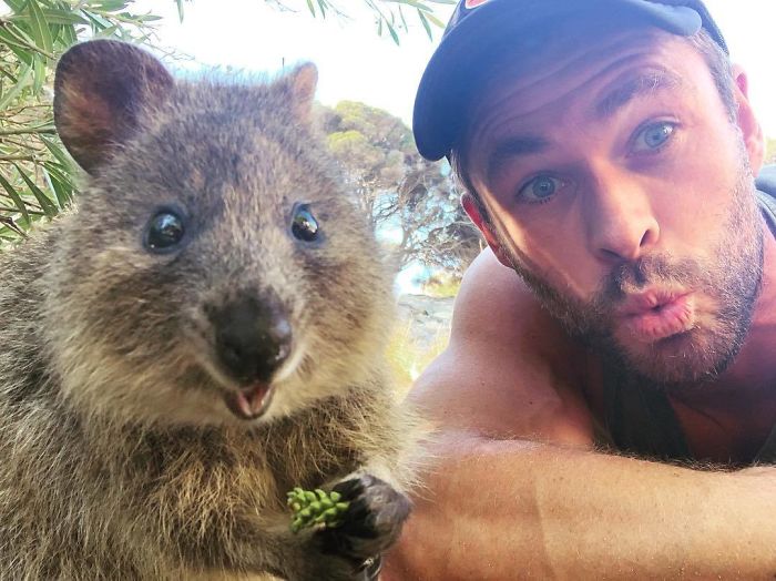 15 célébrités qui ont fait un don pour aider les pompiers australiens