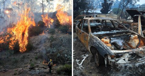 11 millions $ en dons pour les feux de forêt ne seront pas versés aux victimes