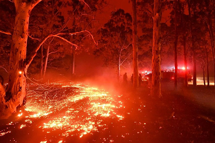 Puisqu’un demi-milliard d’animaux sont morts dans les feux de forêt en Australie, la famille Irwin est intervenue et a déjà aidé plus de 90 000 animaux