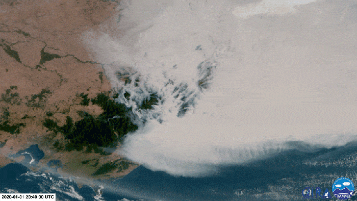 Des images satellites percutantes révèlent la véritable ampleur des feux de forêt en Australie