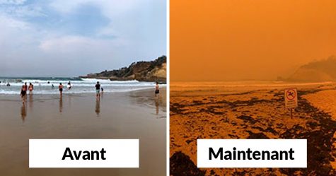 20 photos avant et maintenant qui montrent les dégâts causés par les feux de forêt en Australie