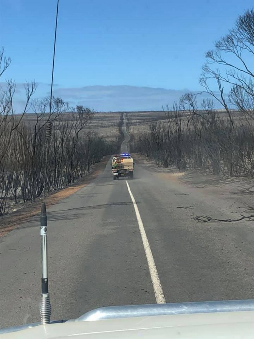 Des photos avant et après montrent l’impact dévastateur des feux de forêt sur l’île Kangourou en Australie