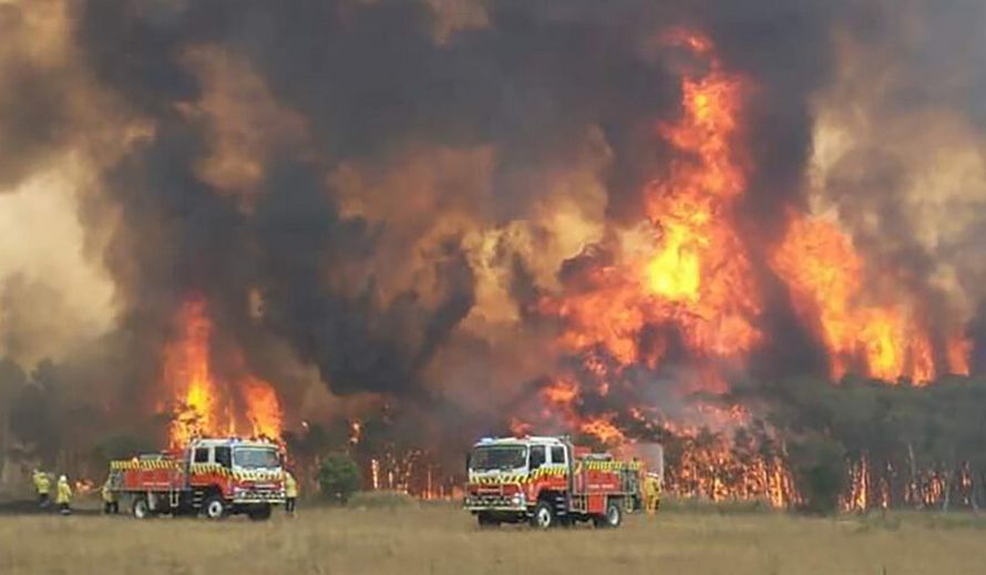 Des photos avant et après montrent l’impact dévastateur des feux de forêt sur l’île Kangourou en Australie