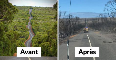 Des photos avant et après montrent l’impact dévastateur des feux de forêt sur l’île Kangourou en Australie