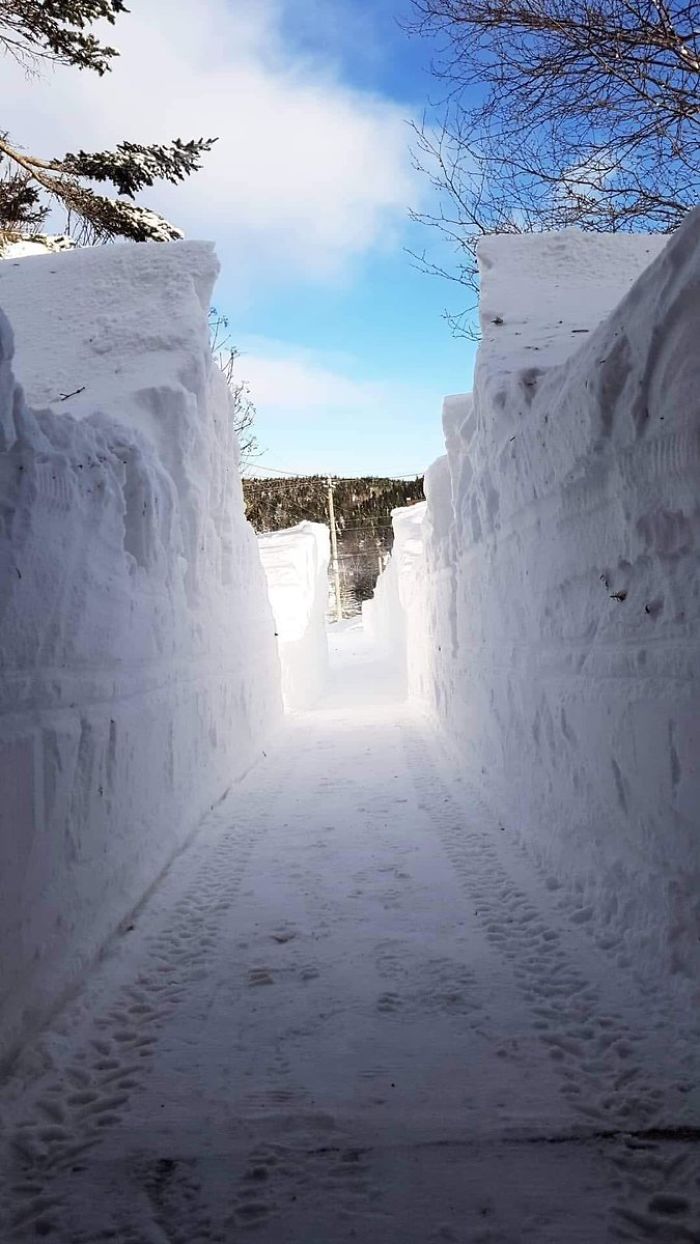 33 images qui montrent comment des Canadiens ont fait face à un blizzard sans précédent