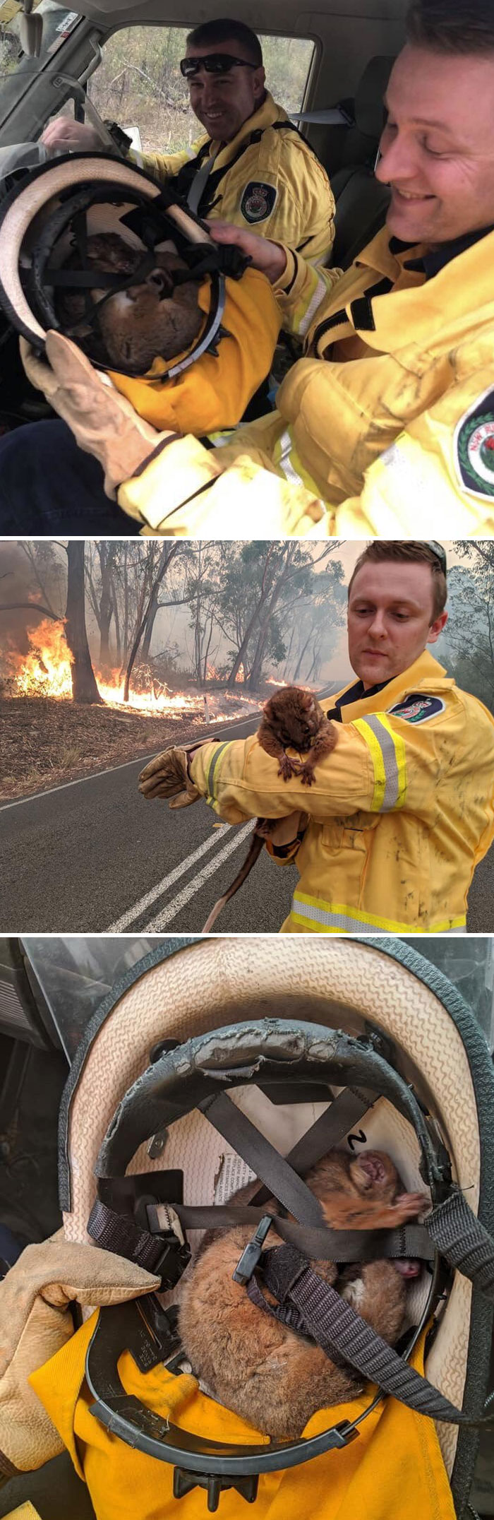 22 images qui résument l’enfer qui se déroule en Australie