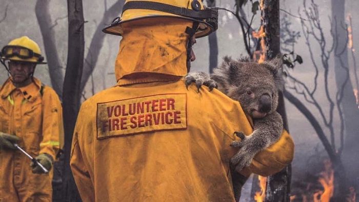 22 images qui résument l’enfer qui se déroule en Australie