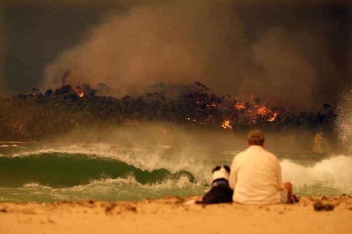 22 images qui résument l’enfer qui se déroule en Australie