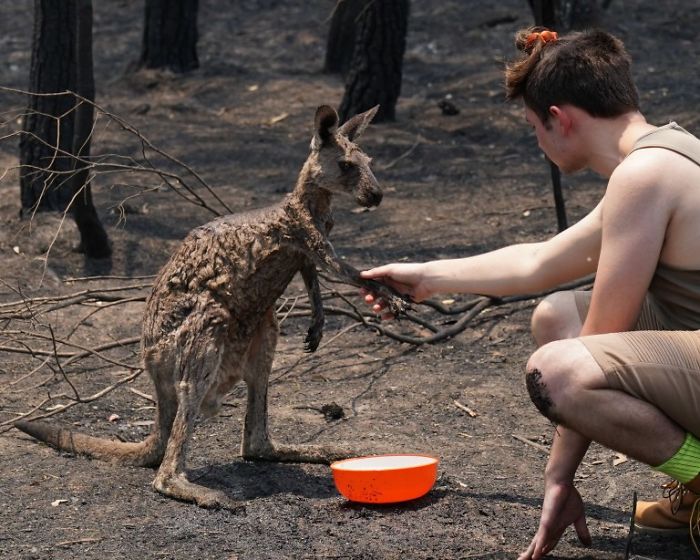 22 images qui résument l’enfer qui se déroule en Australie