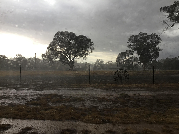 Il pleut enfin en Australie et la pluie a éteint plus de 30 feux de forêt mortels