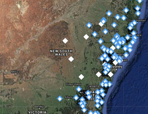 Il pleut enfin en Australie et la pluie a éteint plus de 30 feux de forêt mortels