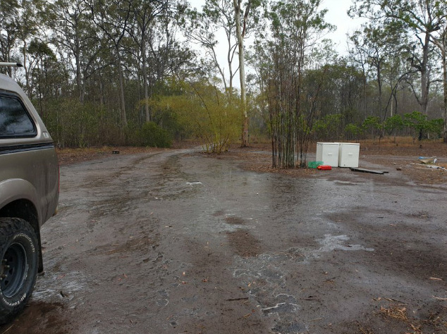 Il pleut enfin en Australie et la pluie a éteint plus de 30 feux de forêt mortels