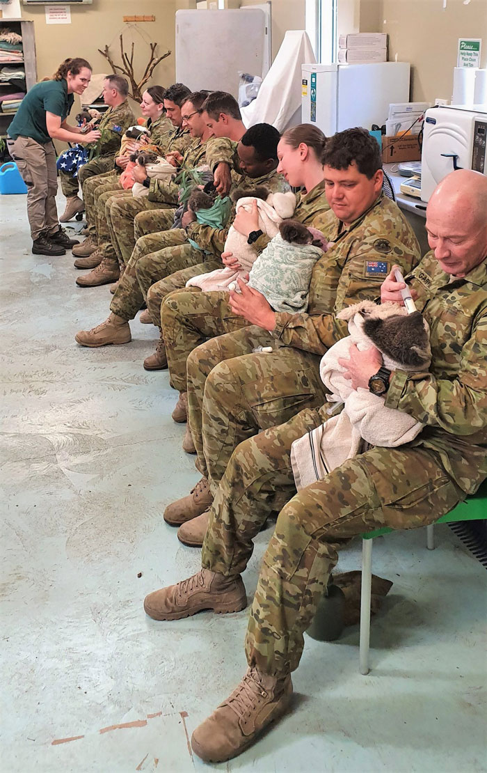 https://www.ipnoze.com/wordpress/wp-content/uploads/2020/01/soldats-aident-koalas-cleland-wildlife-park-australie-005.jpg