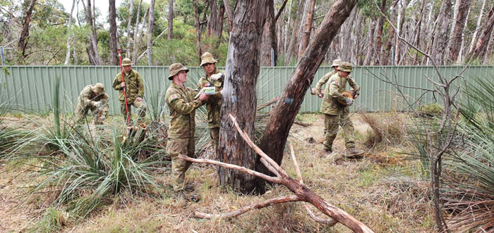 https://www.ipnoze.com/wordpress/wp-content/uploads/2020/01/soldats-aident-koalas-cleland-wildlife-park-australie-007.jpg