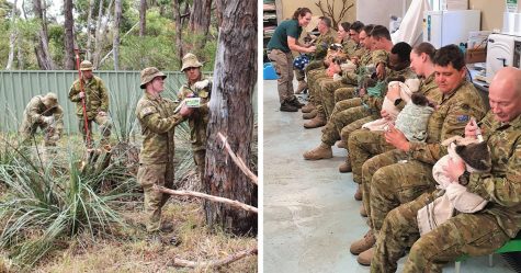 Des soldats de l’armée australienne passent leur temps de repos à s’occuper des koalas touchés par les feux de forêt