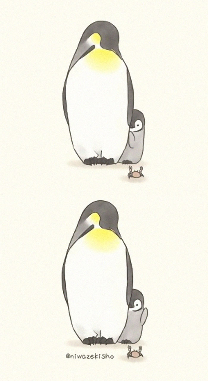 Ces 30 bandes dessinées au sujet d’un petit manchot qui est incapable d’accomplir des tâches simples sont trop mignonnes