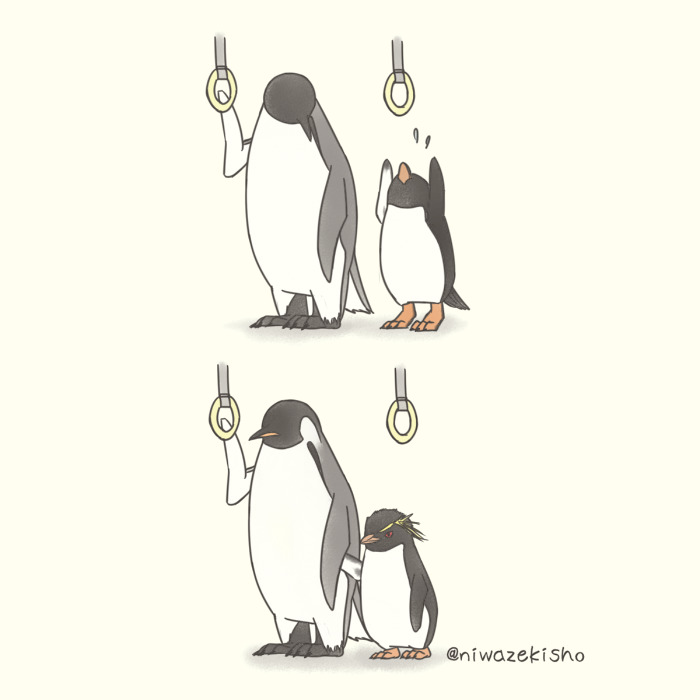 Ces 30 bandes dessinées au sujet d’un petit manchot qui est incapable d’accomplir des tâches simples sont trop mignonnes