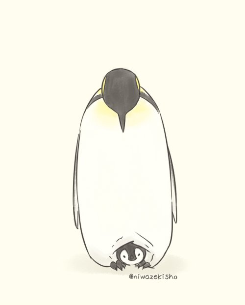 Ces 30 bandes dessinées au sujet d’un petit manchot qui est incapable d’accomplir des tâches simples sont trop mignonnes