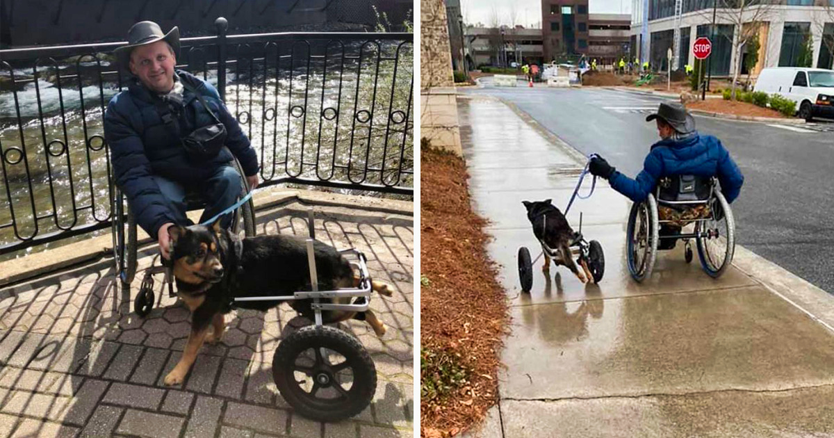 Ce chien handicapé qui a été retourné 4 fois a finalement été 