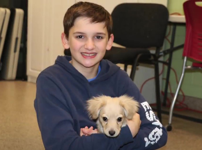 Ce chiot abandonné a eu une seconde chance de vivre une vie heureuse avec un fauteuil roulant LEGO fabriqué par un garçon de 12 ans