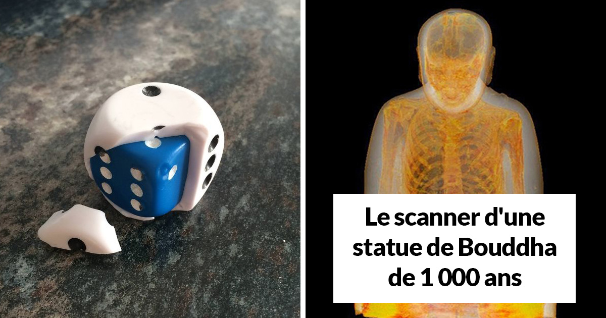 22 fois où des gens ont cassé ou ouvert des choses et ont été surpris par ce qu’ils ont trouvé à l’intérieur