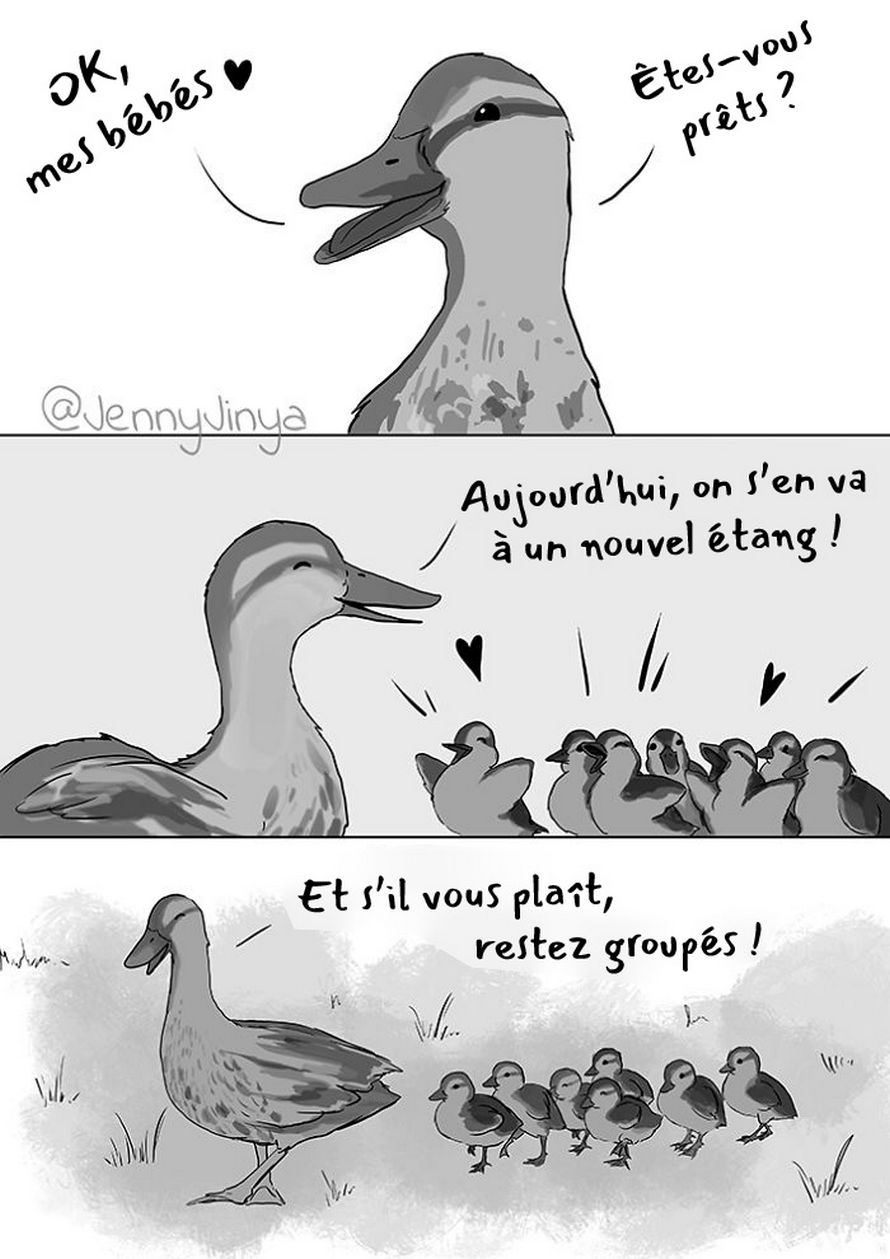 L Artiste Qui A Emu Les Gens Avec Ses Chat Noir Et Bon Garcon Vient D En Publier Une Nouvelle Avec Un Caneton