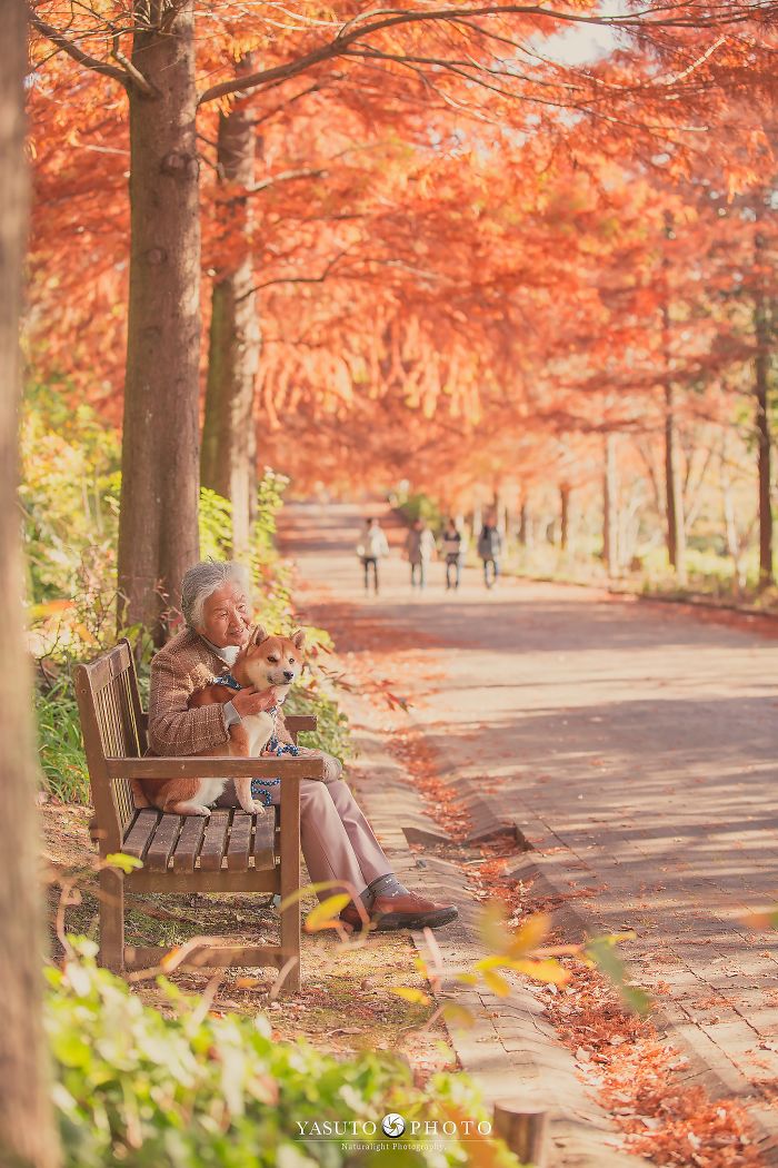 Cette grand-mère et son shiba ont été capturés par son petit-fils en 22 clichés attendrissants