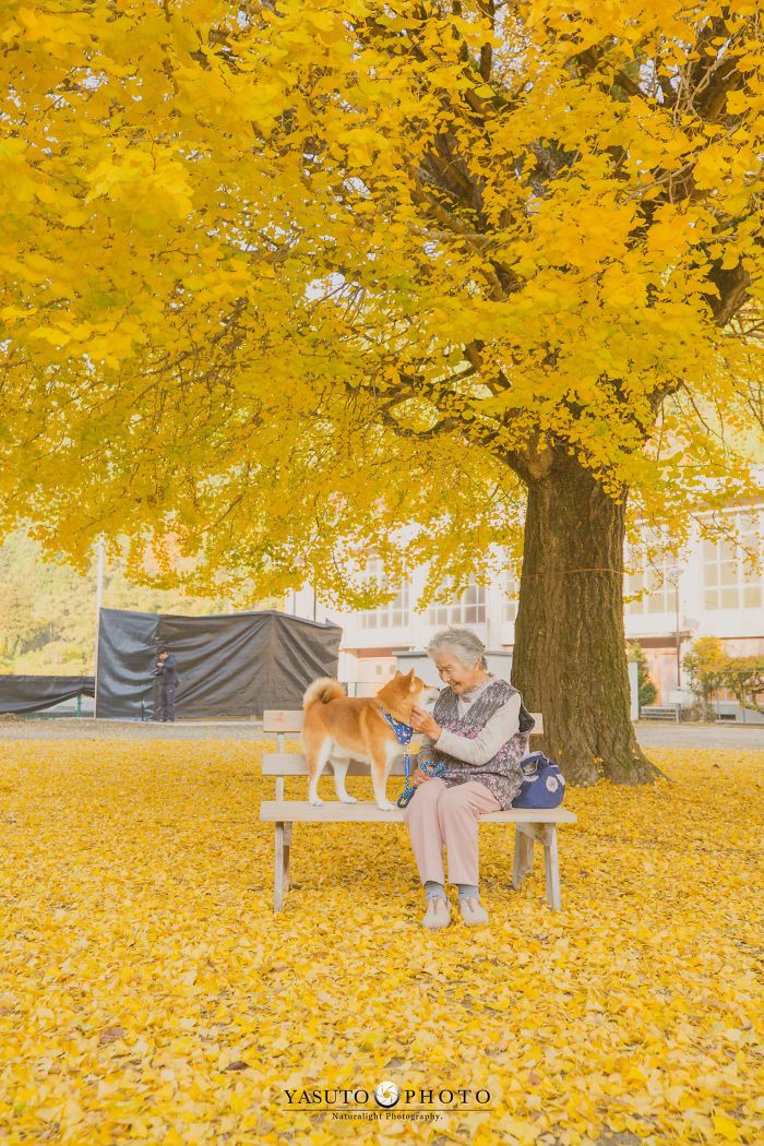 Cette grand-mère et son shiba ont été capturés par son petit-fils en 22 clichés attendrissants