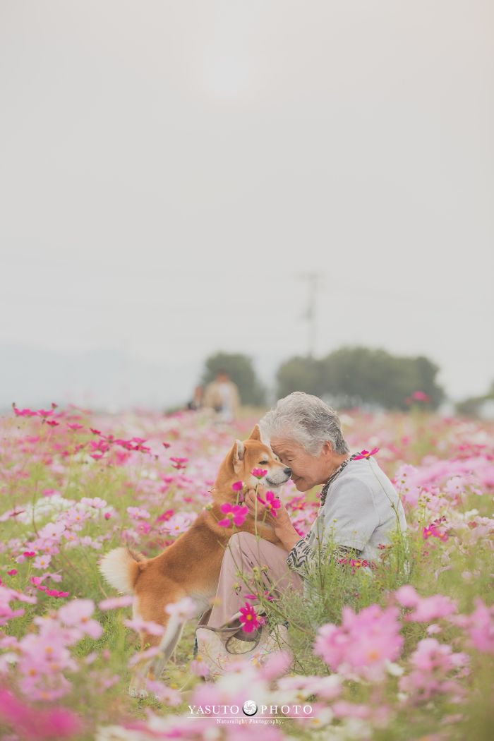 Cette grand-mère et son shiba ont été capturés par son petit-fils en 22 clichés attendrissants