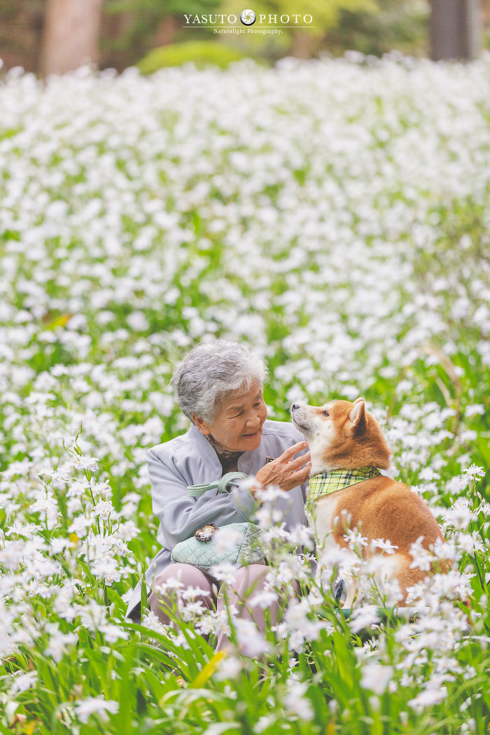 Cette grand-mère et son shiba ont été capturés par son petit-fils en 22 clichés attendrissants